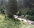 Peisaj